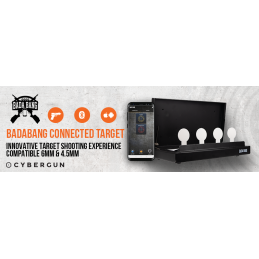 Electronic Airsoft, Airgun Target BADABANG